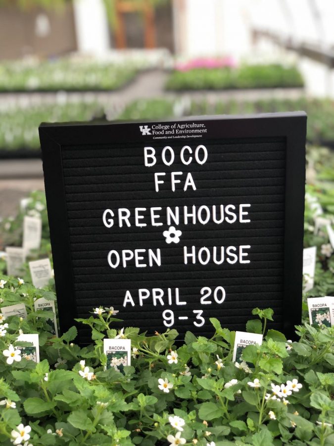 Greenhouse Sales