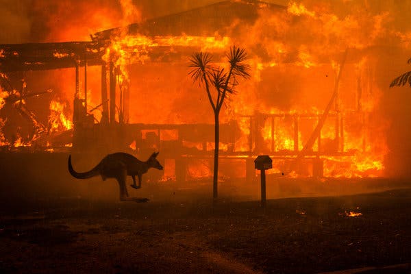 Australia Wildfire