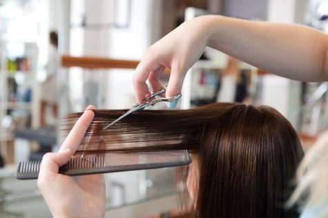 Hairdresser cutting clients hair in beauty salon.