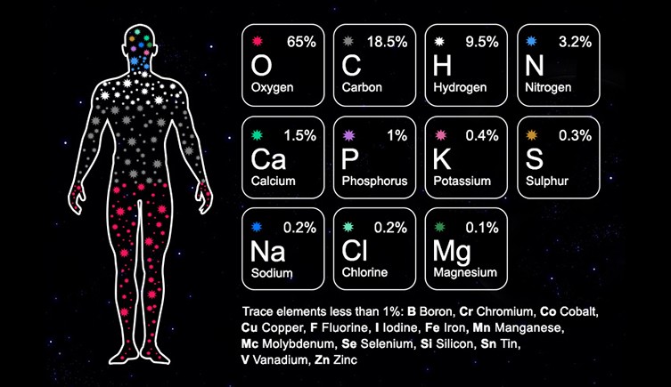 This diagram shows the base chemicals needed to for the human body
