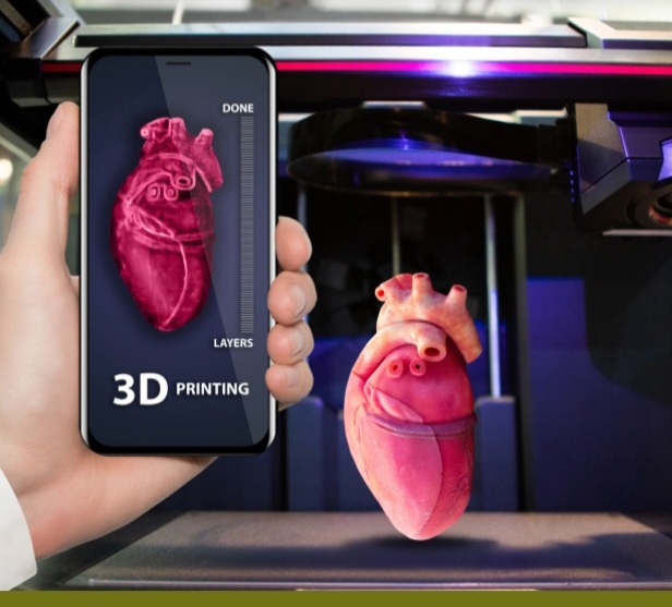 Organoid- Organoid heart 3D printing 