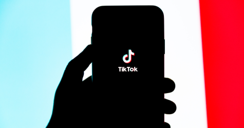Over 1.5 billion people use the entertainment app TikTok each month