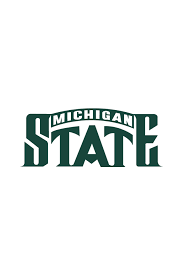 In the picture above is the Michigan State University sign.