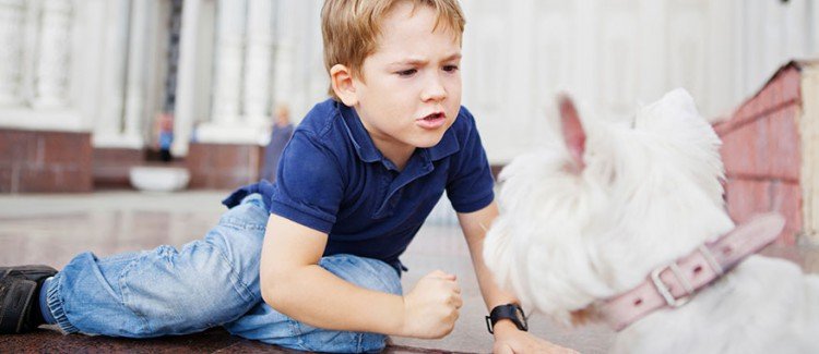 Why you should not give a young child a pet.