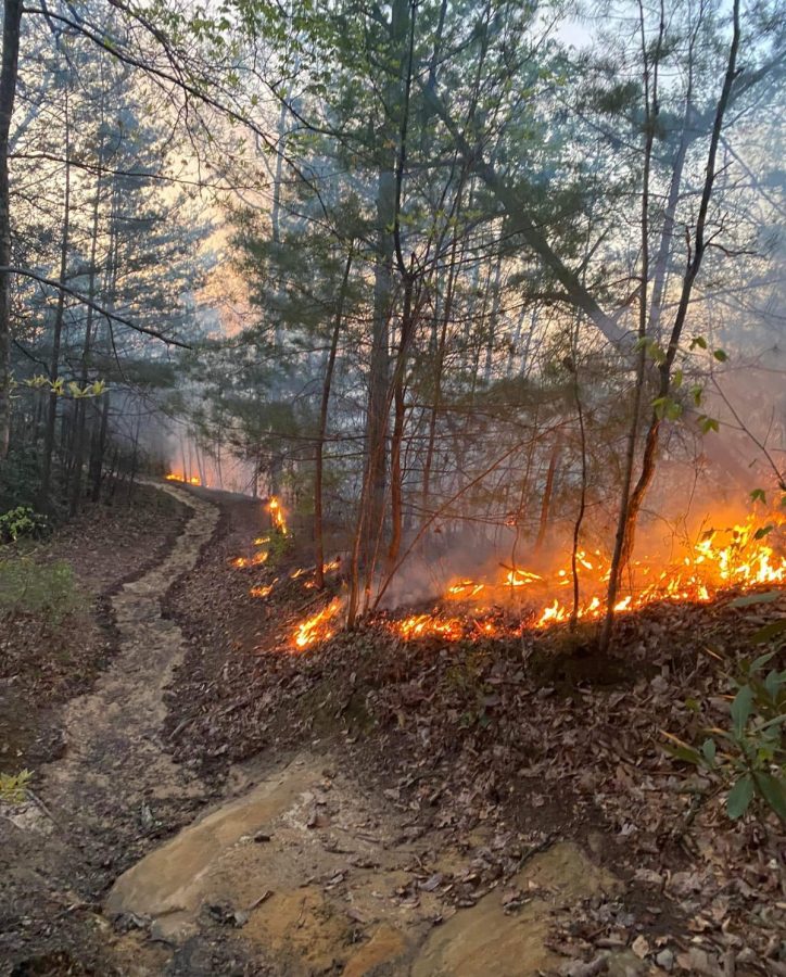 Wildfire at Natural Bridge in Kentucky Le Petit Colonel