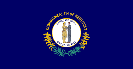 The Kentucky state flag, which was designed by Jesse Cox Burgess.
